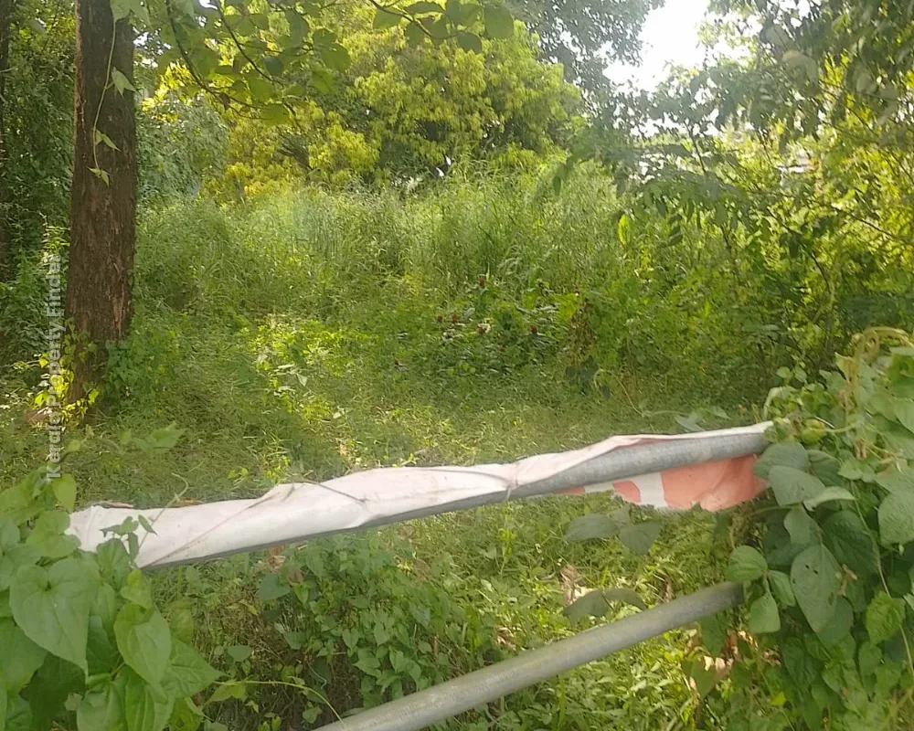 Residential Land for Sale  Chembukkav, Thrissur - Photo 3