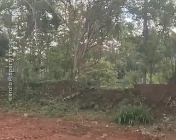 Commerical Land (Paramb) For sale in Mannuthy-Marathakkara Highway, Thrissur - Photo 7