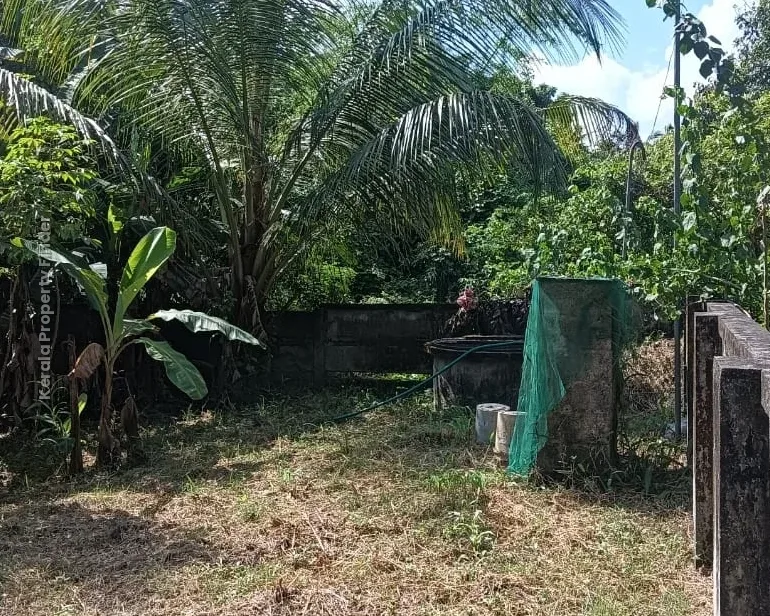 Residential Land- 7.50 Cents For sale in Kuttoor, Naithalakkavu, Thrissur - Photo 8