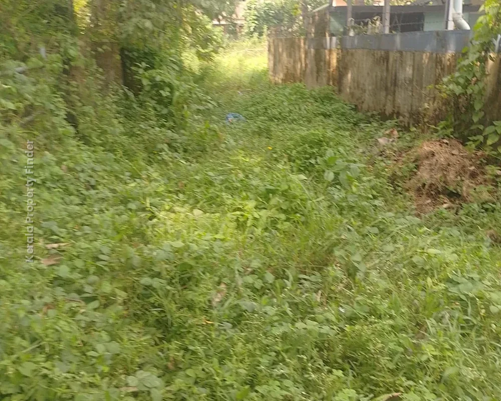 Residential Land for Sale  Chembukkav, Thrissur - Photo 6