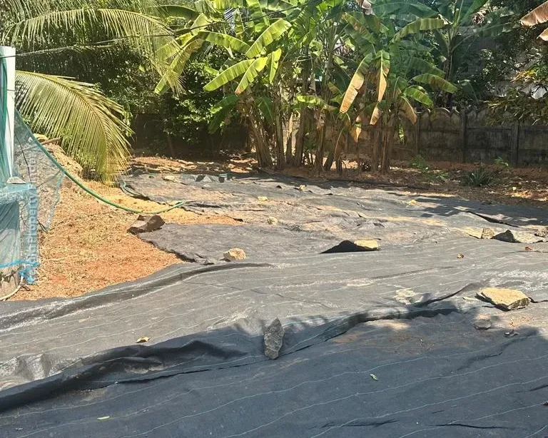 Residential Land for Sale in Kanimangalam  Koorkencherry Route - Photo 7
