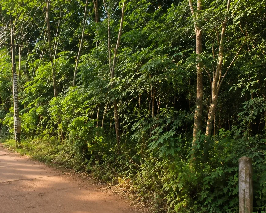 Plot for sale in Pathiripala Manur - Residential in Pathiripala, Palakkad