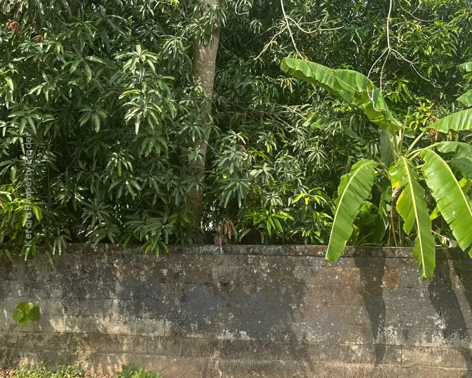 Prime Residential Plot-8 cents for Sale in Chembukavu, Thrissur - Photo 6