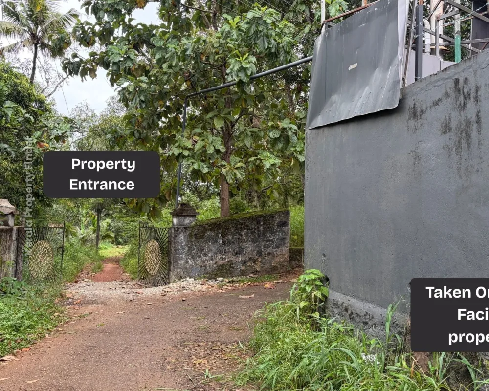 Prime 10-Cent & 18-Cent Land for Sale in Adoor, Kerala  170 m from MC Road - Photo 2