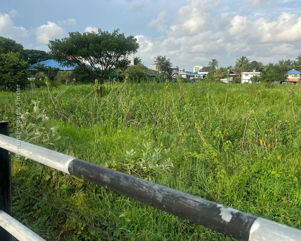 5.5 Acres Commercial Land for Sale  Kolothumpadam, Peringav, Thrissur - Photo 7