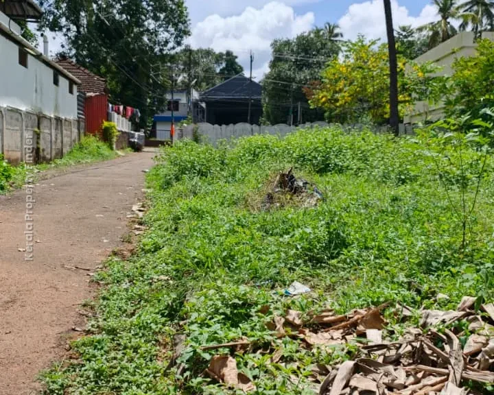 Prime Residential Plot for Sale in Chelakkottukkara, Thrissur - Photo 6