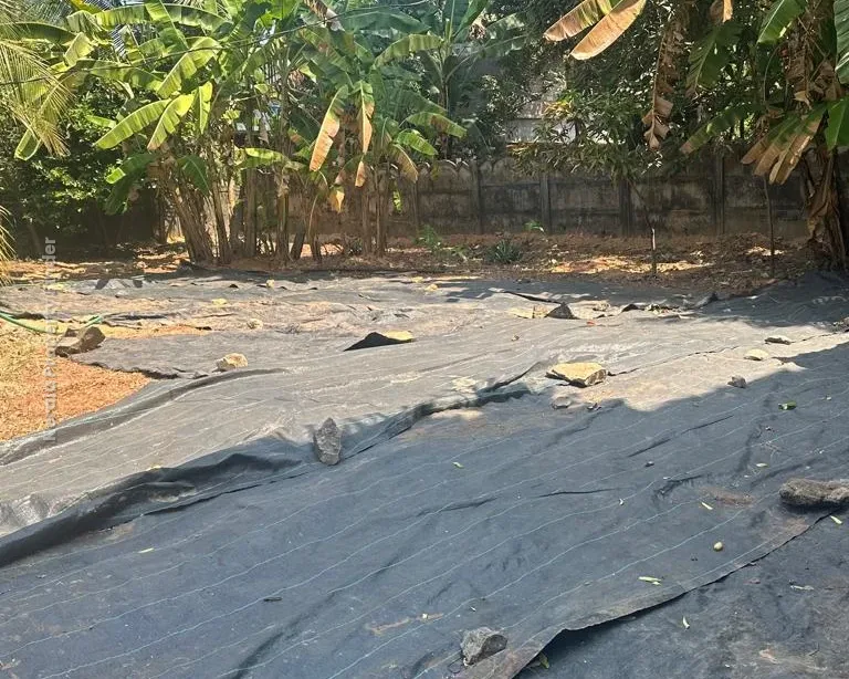 Residential Land for Sale in Kanimangalam  Koorkencherry Route - Photo 2