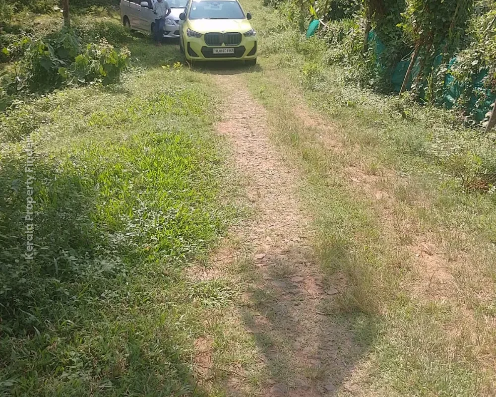 Residential Land for Sale  Poomala, Thrissur - Photo 2