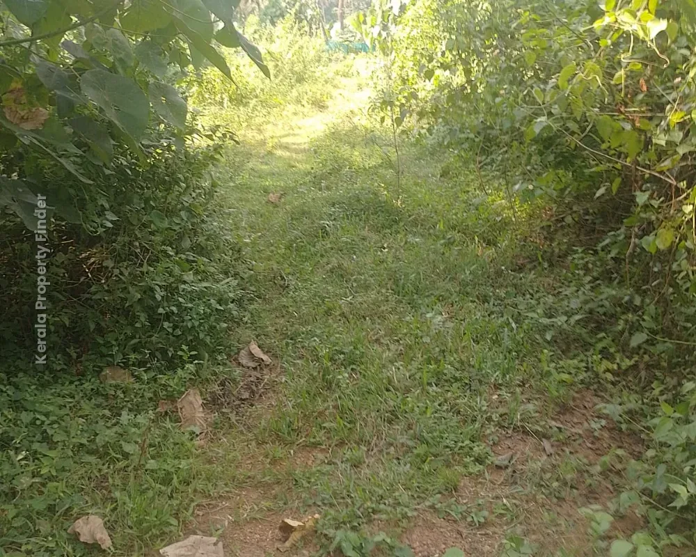 Residential Land for Sale  Poomala, Thrissur - Photo 7