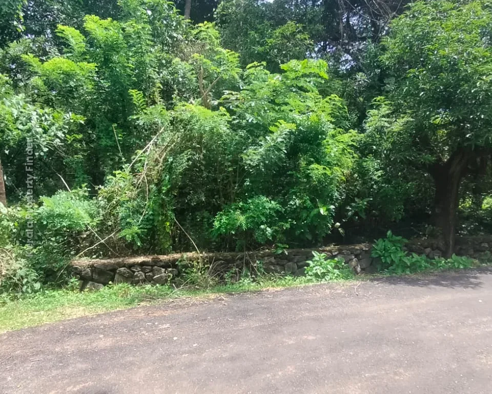 30-cent land for sale in Paravattani, Thrissur - Photo 2