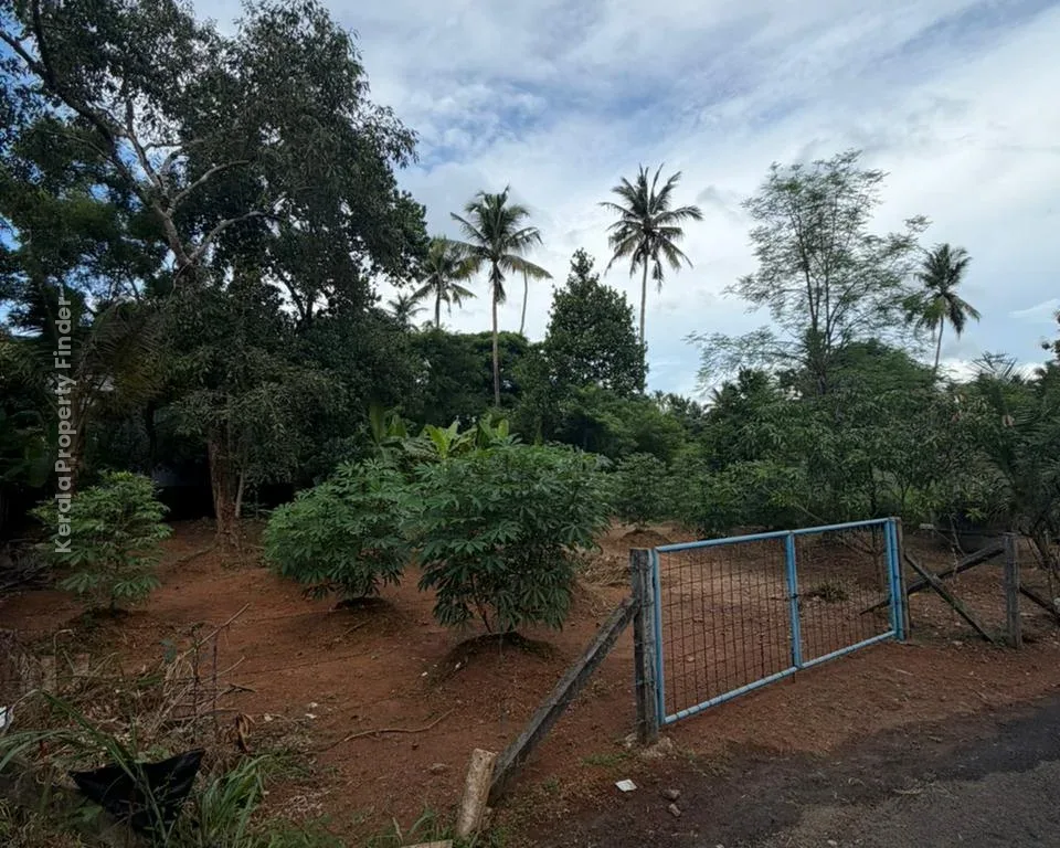 Residential Land for Sale in Koorkenchery  Chiyyaram Main Road, Thrissur - Photo 3