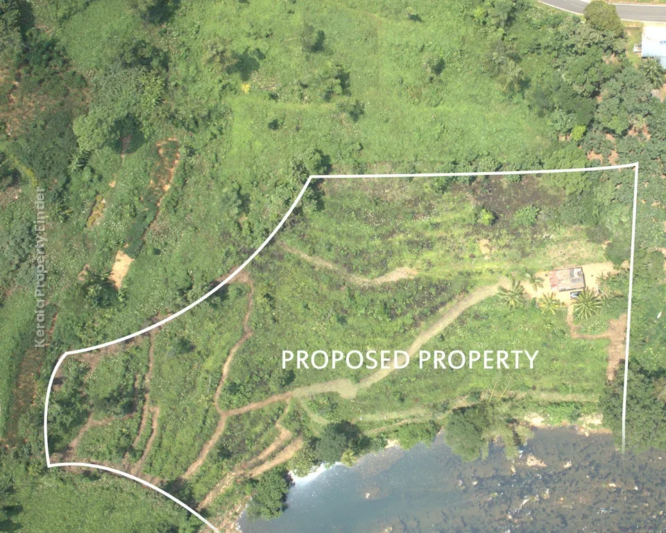 256 Cent Riverfront Rubber & Pepper Plantation for Sale  Koratty, Erumeli - Photo 6
