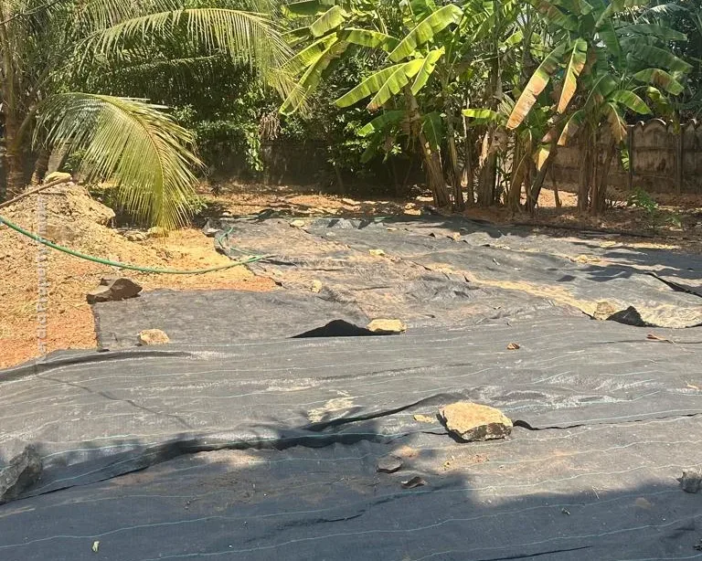 Residential Land for Sale in Kanimangalam  Koorkencherry Route - Photo 3