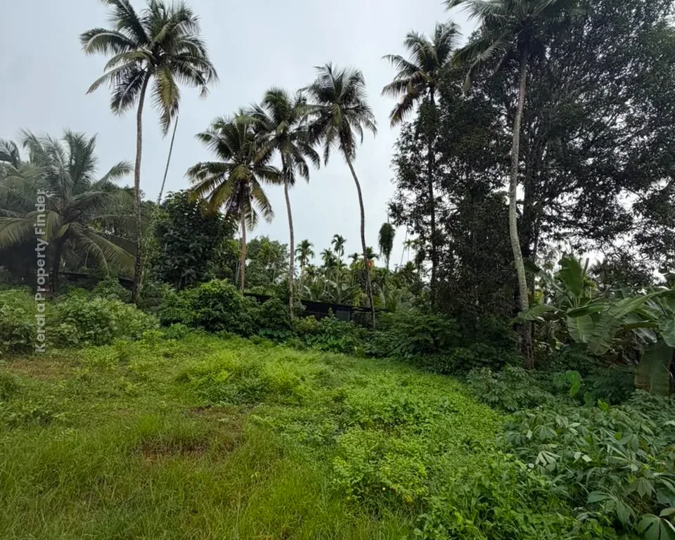 Residential Plot for Sale in Kaiparambu, Thrissur - Residential for Sale in Kaiparamba, Thrissur