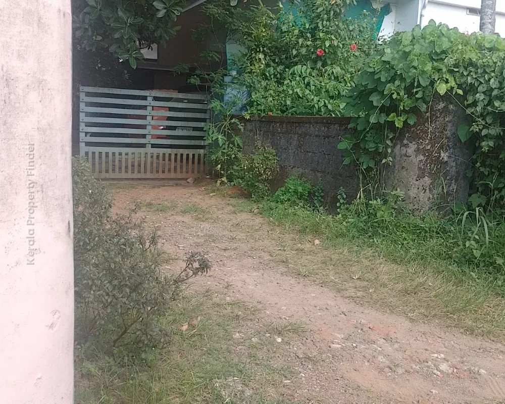 Residential Land for Sale  Pamboor, Thrissur - Photo 6
