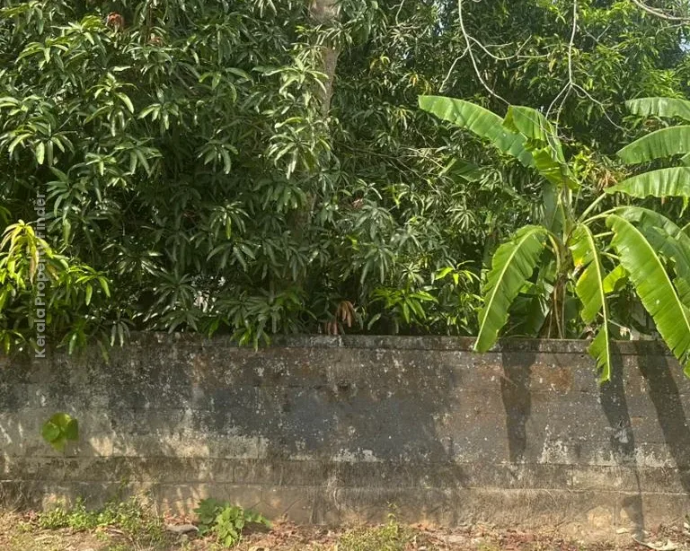 Prime Residential Plot-8 cents for Sale in Chembukavu, Thrissur - Photo 7