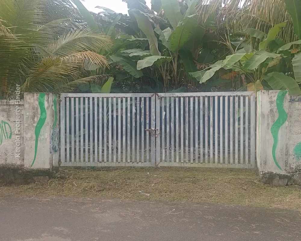 Prime Residential Land for Sale in Pallimoola, Thrissur - Photo 6