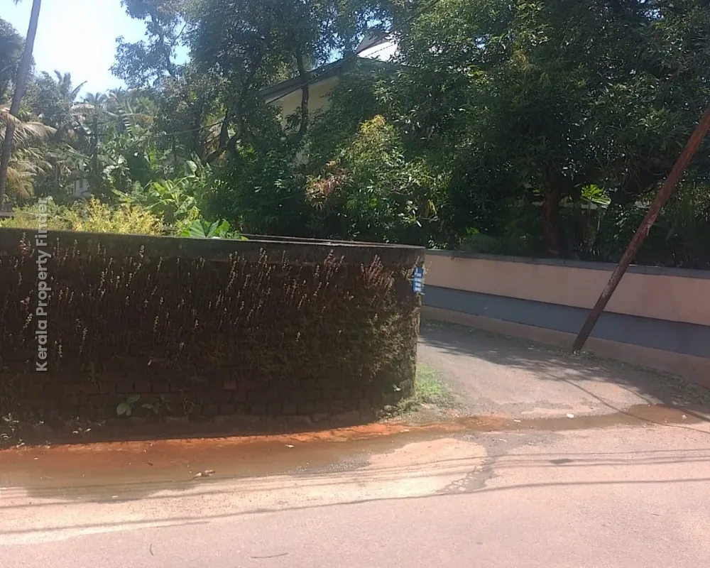 13 Cent Residential Land for Sale Near Metro Hospital, Koorkkenchery, Thrissur - Photo 4