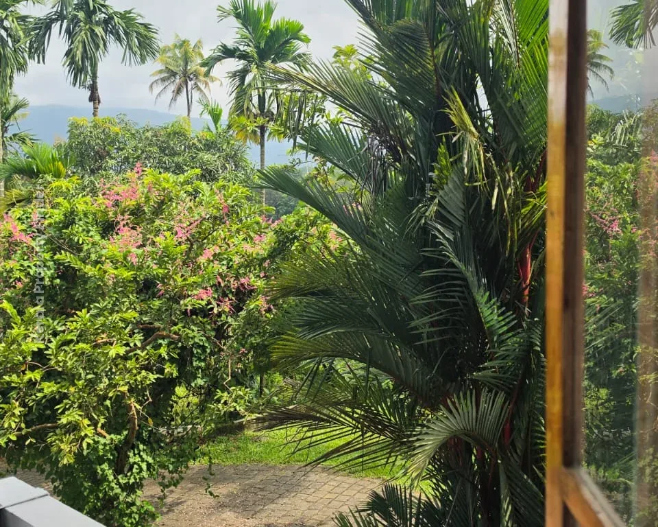 Eden Garden Homestay Periyar Paniyeli - Homestay in Kochi, Ernakulam - photo 17