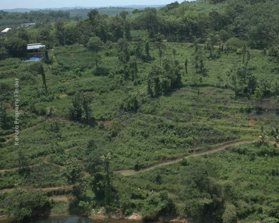 256 Cent Riverfront Rubber & Pepper Plantation for Sale  Koratty, Erumeli - Photo 7