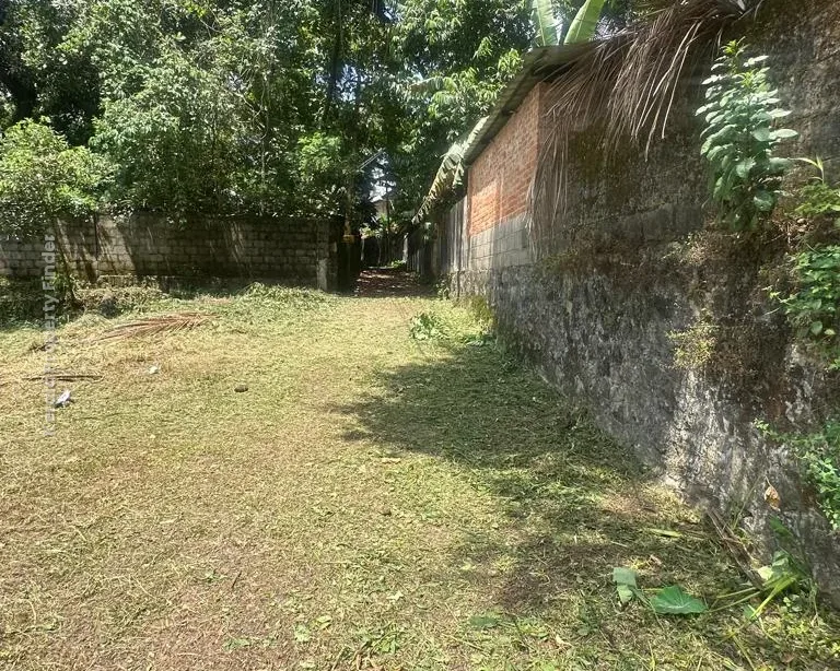 Residential Land for Sale  Chembukkav, Thrissur - Photo 7