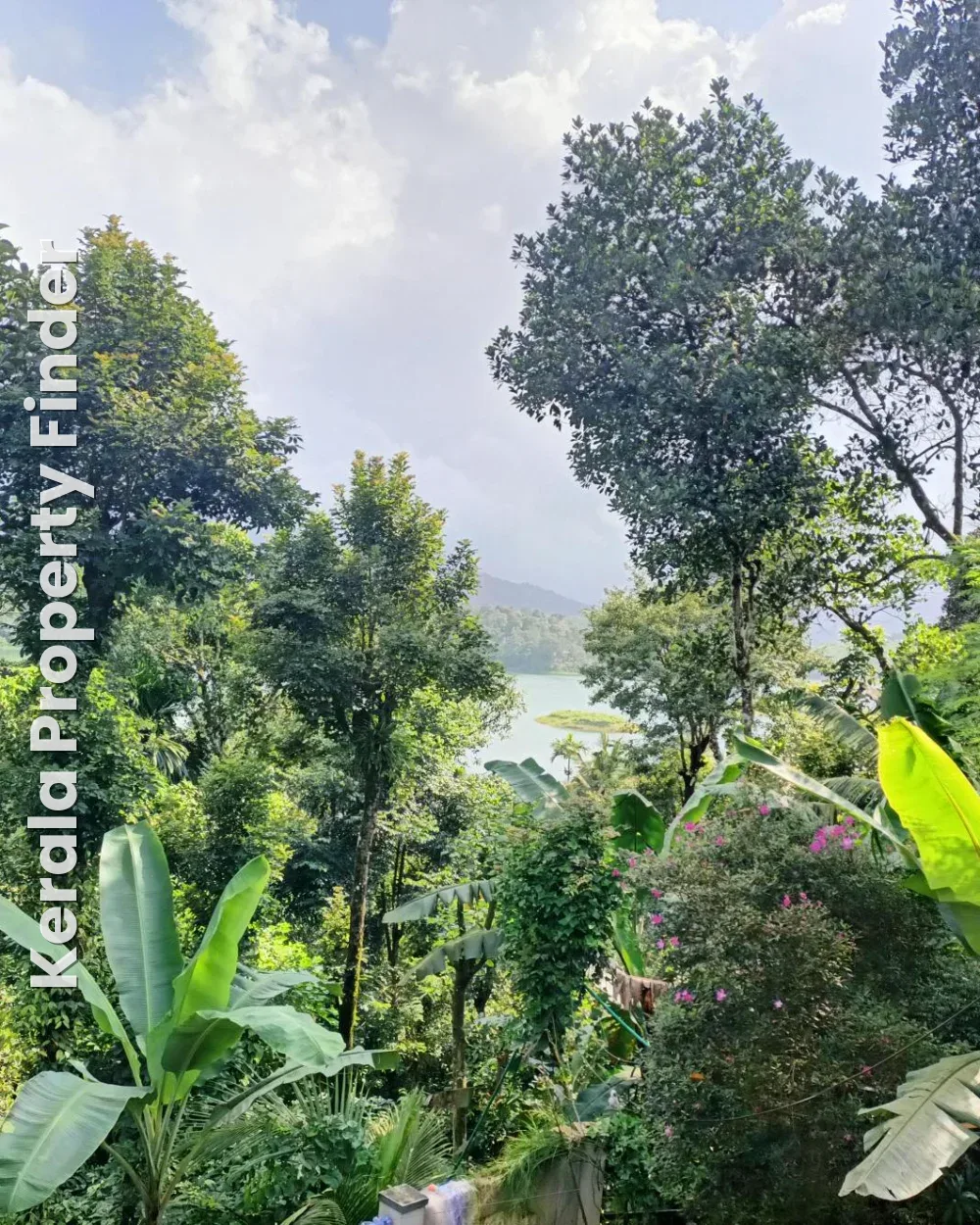 50 cents Scenic Premium Property in Wayanad - Photo 5