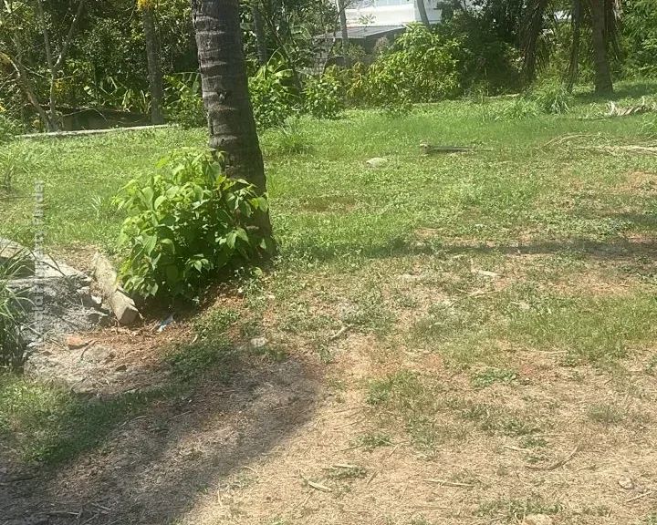 Residential land-9 cents For sale in Aranattukara, Thrissur - Photo 4