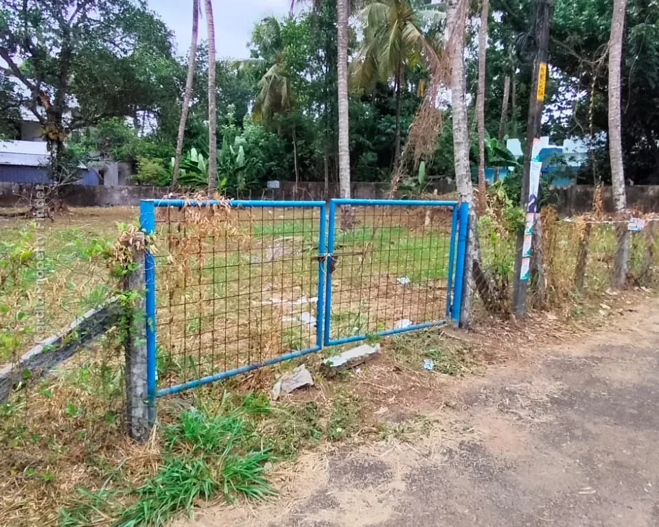Residential Land-22 cent for Sale in Kuttanellur , Thrissur - Photo 5