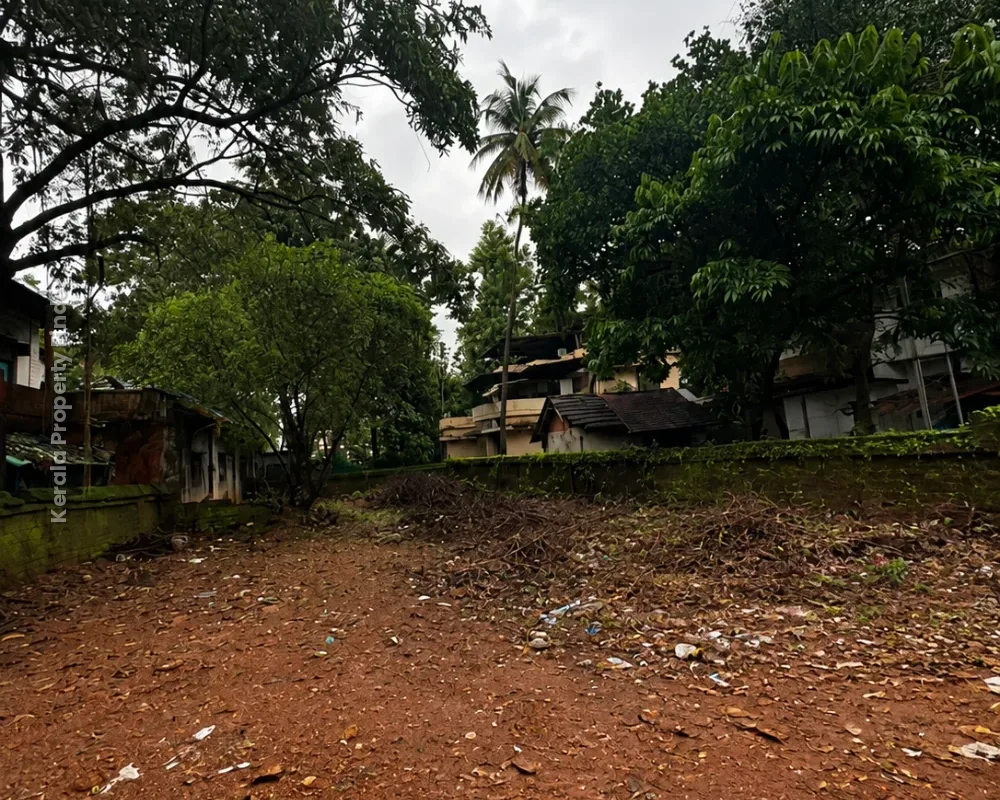 8.5-Cent Residential Plot for Sale in Patturaikkal, Thrissur - Residential for Sale in Patturaikkal, Thrissur