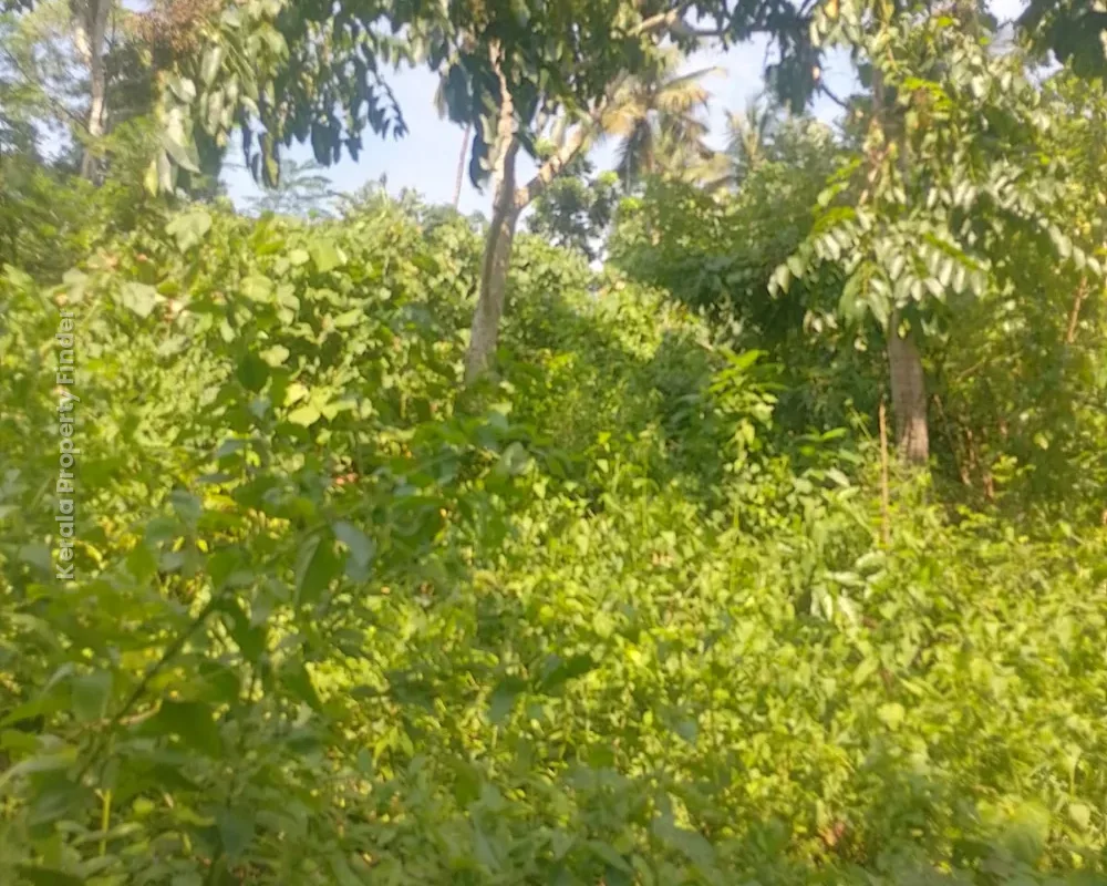 Residential Land for Sale  Poomala, Thrissur - Photo 6