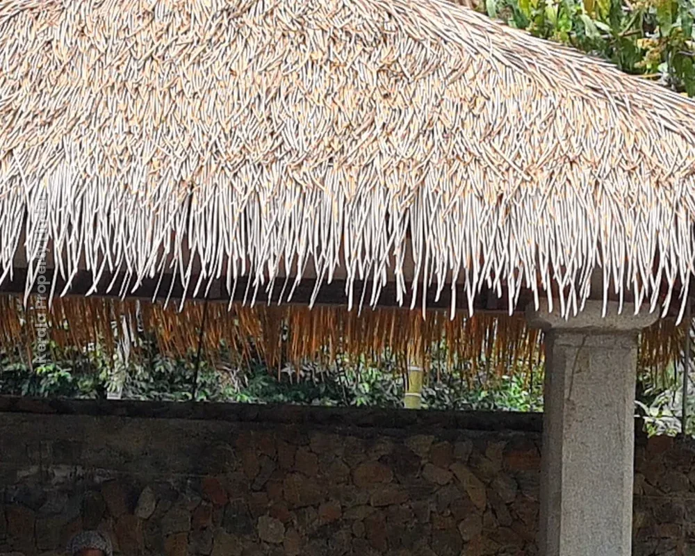 Maaya Riverside Villas riverfront property for Sale - Photo 2