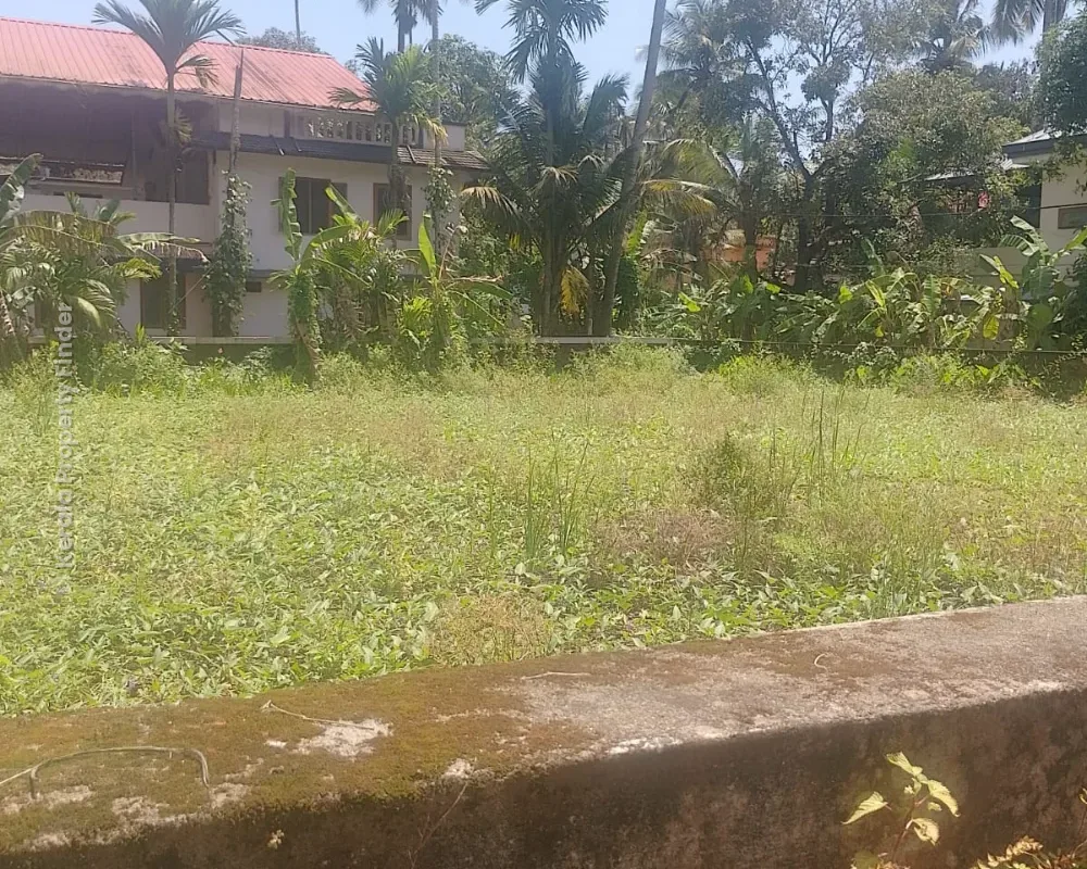 13 Cent Residential Land for Sale Near Metro Hospital, Koorkkenchery, Thrissur - Photo 3