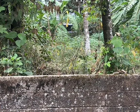 Residential Land-13.5 cent for sale in Viyyur- padukkad, Thrissur - Photo 3