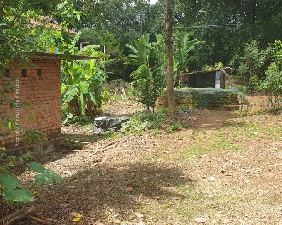Highway Frontage Plot For Sale - Irinjalakuda - Residential in Irinjalakuda, Thrissur