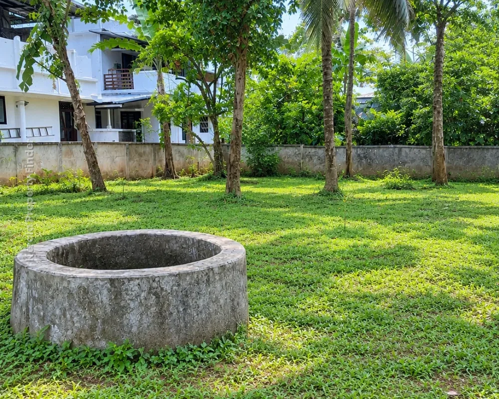 10 Cent East-Facing Land for Sale  Olari , Thrissur - Photo 2