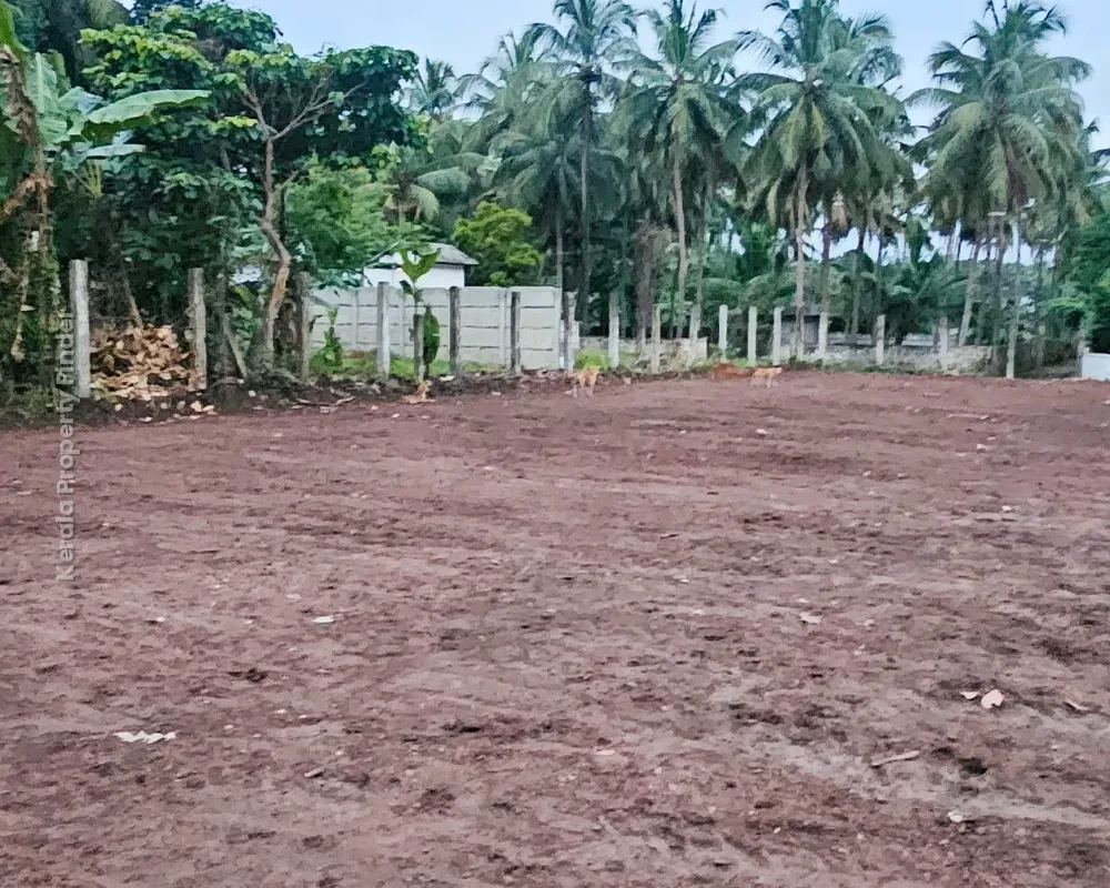 Land for sale near Thrissur - Kunnamkulam highway mundur) suitable for Commercial purpose. - Photo 6