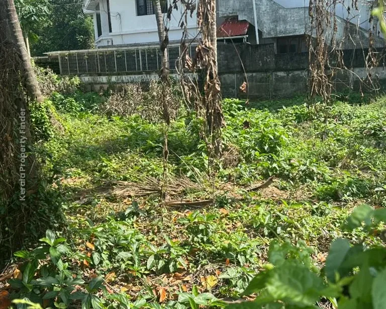 Residential land- 10 cent for sale in Kalathode, Thrissur - Photo 4