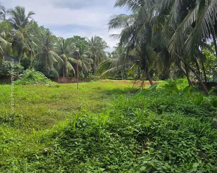 PRIME 59-CENT LAND FOR SALE  BEHIND HILITE MALL, CALICUT - Commercial in Olavanna, Kozhikode