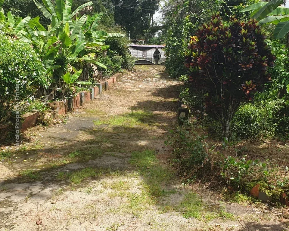 Highway Frontage Plot For Sale - Irinjalakuda - Photo 2