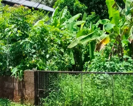 Residential Land-10 cent for sale near Kerala Varma college, Westfort, Thrissur. - Residential in West Fort, Thrissur - photo 3