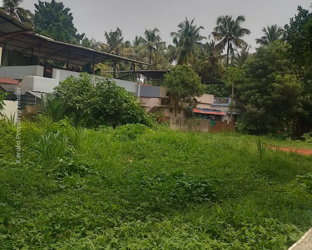 Land for Sale in Amala, Thrissur - Photo 7
