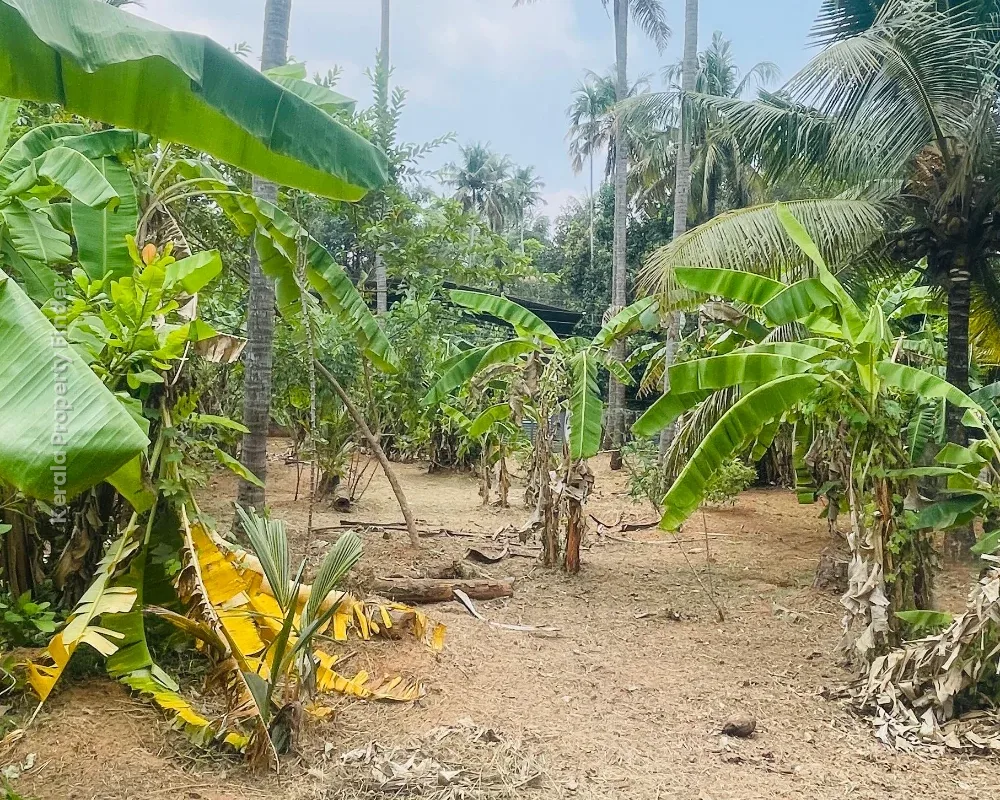 Residential Land-17 cent for sale in Chiyyaram , Near Gallie , Thrissur - Photo 6