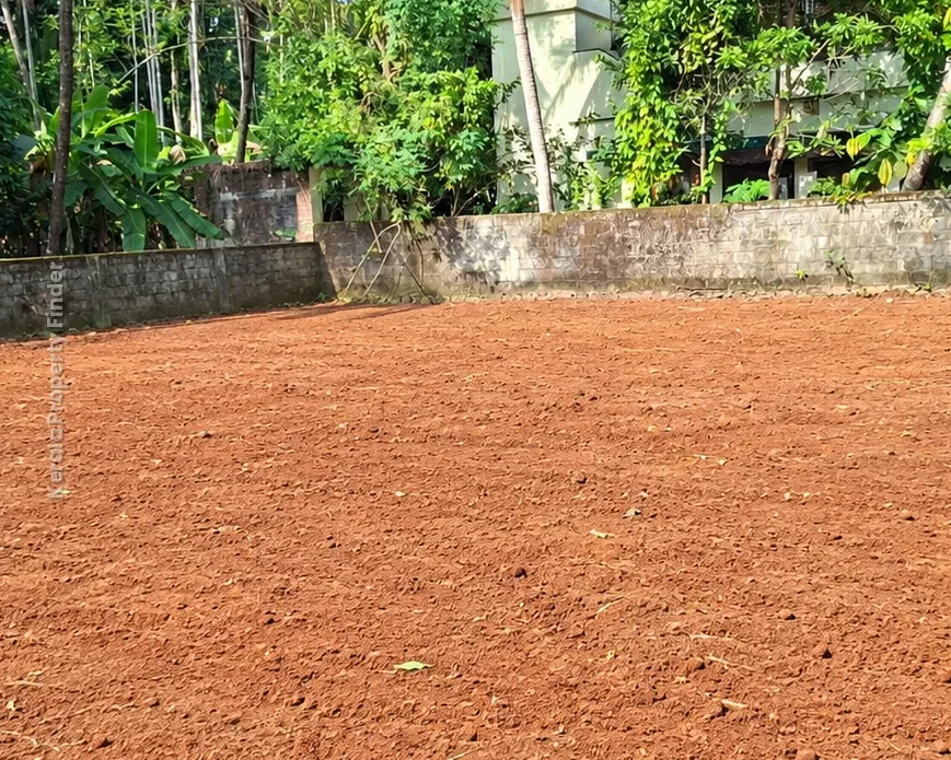 9 Cent Residential Land for Sale in Viyyur, Thrissur - Residential for Sale in Viyyur, Thrissur