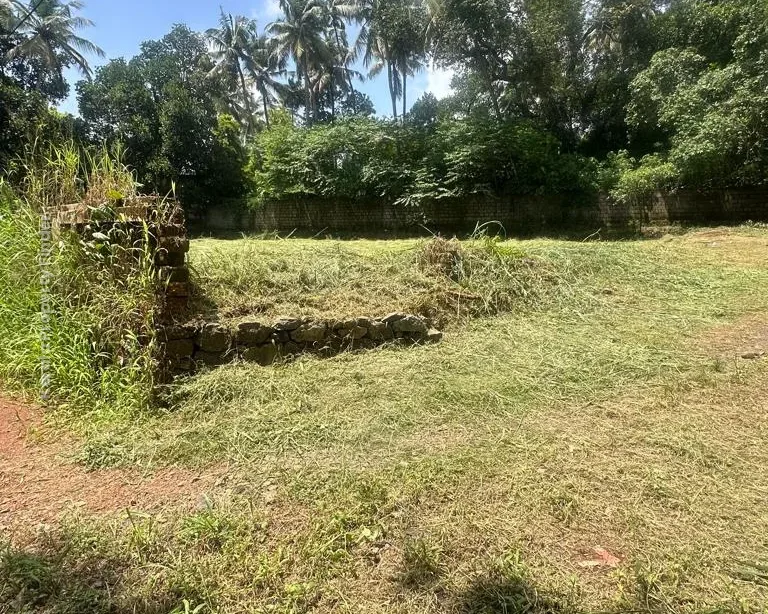 Residential Land for Sale  Chembukkav, Thrissur - Photo 3