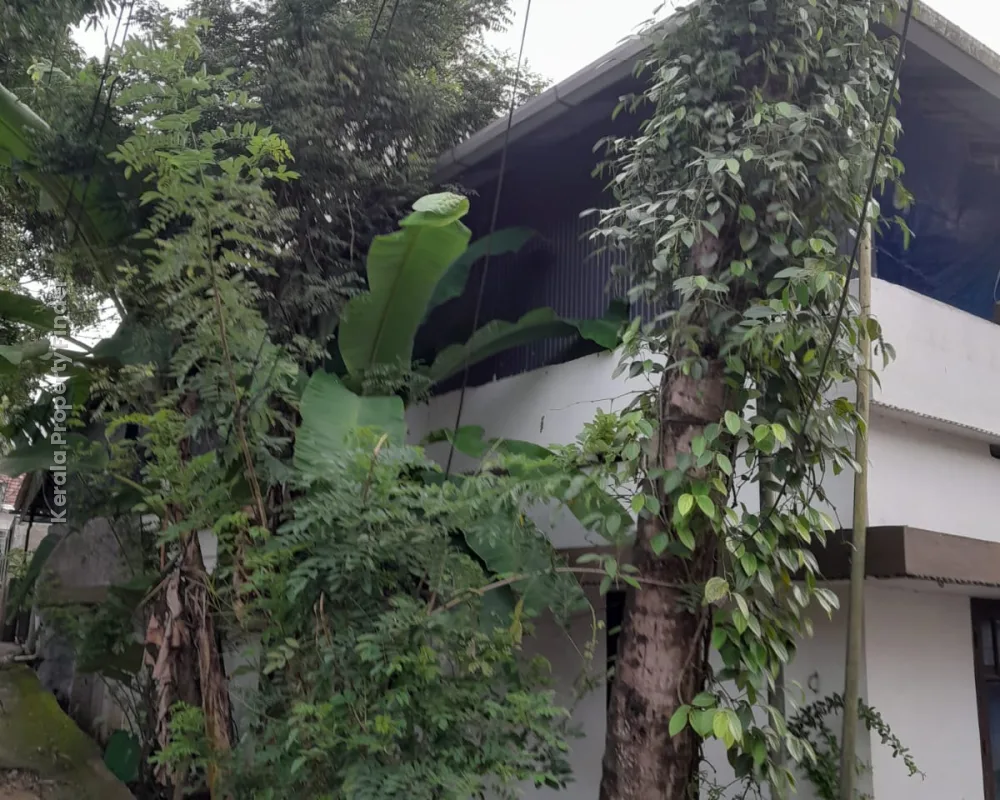 2 BHK Independent House for Urgent Sale in Aluva - Residential in Aluva, Ernakulam - photo 4