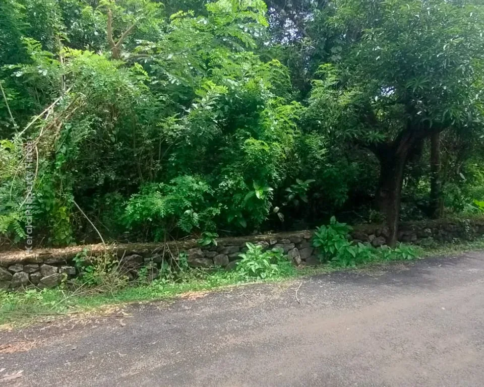 30-cent land for sale in Paravattani, Thrissur - Photo 3