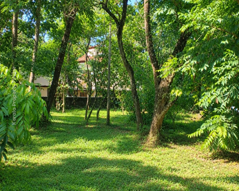 Plots for Sale Near Town Hall, Thrissur - Photo 4
