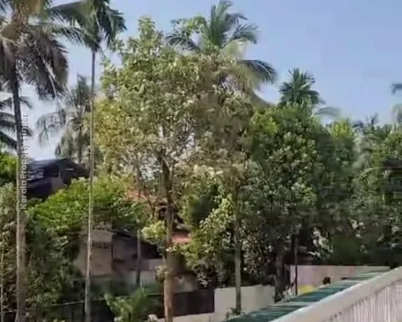 3 BHK Flat for Sale  Near Aswini Hospital, Patturaikkal, Thrissur - Photo 4