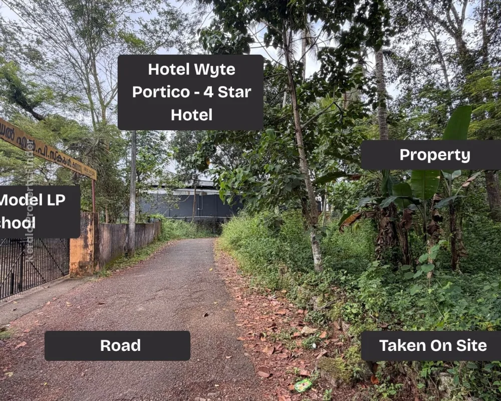 Prime 10-Cent & 18-Cent Land for Sale in Adoor, Kerala  170 m from MC Road - Photo 4