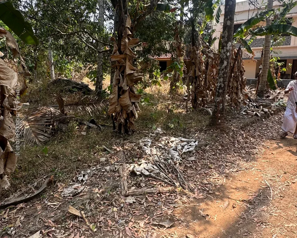 Residential land-10 cent for sale in kolazhy,Thrissur - Photo 6